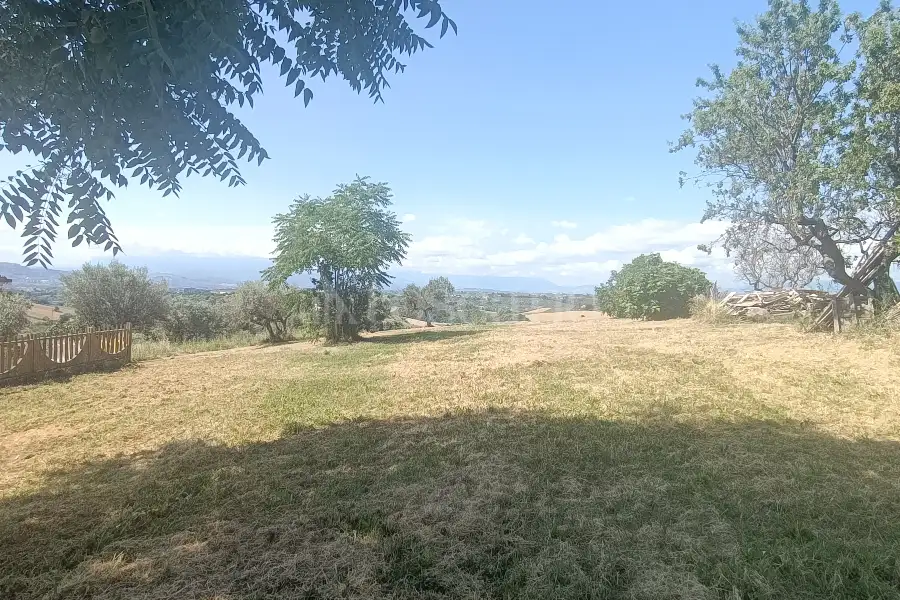 Agricolo in vendita di 12.000 mq a €89.500 (rif. 31/2025)