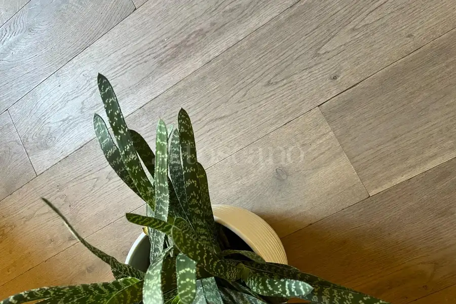 Casa in vendita di 112 mq a €698.000 (rif. 5/2026)