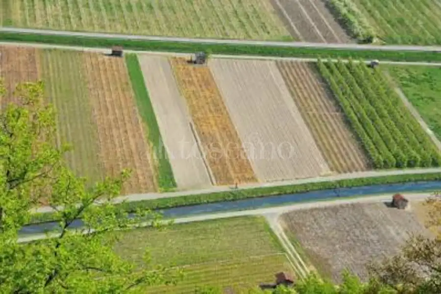 Agricolo in vendita di 5.355 mq a €25.000 (rif. 44/2025)
