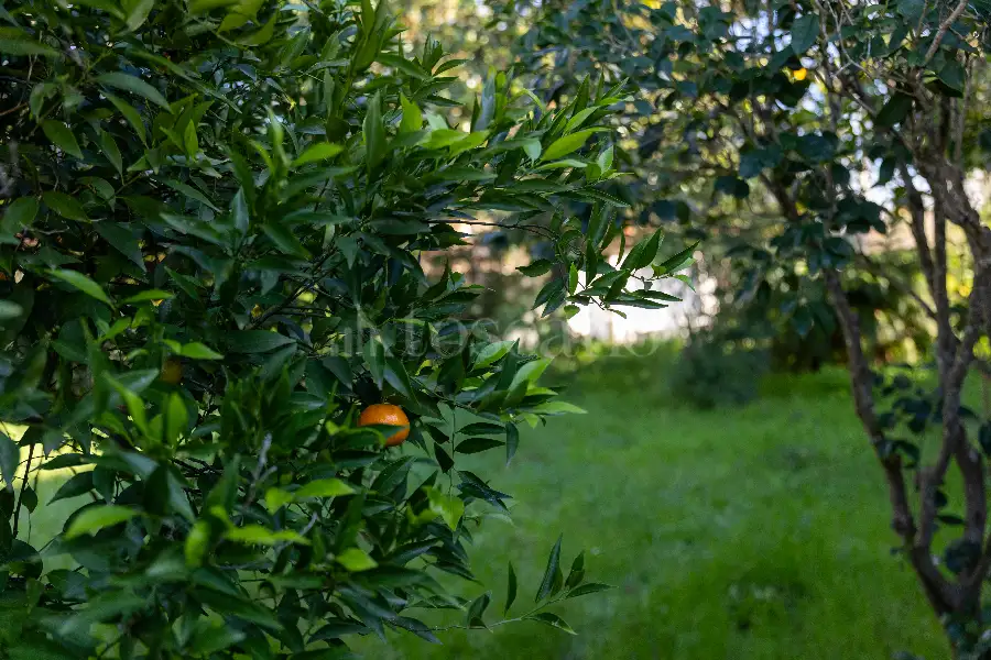 Villa in vendita di 700 mq a €580.000 (rif. 131/2025)