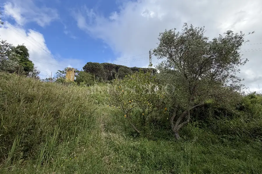 Agricolo in vendita di 16.504 mq a €88.000 (rif. 20/2026)
