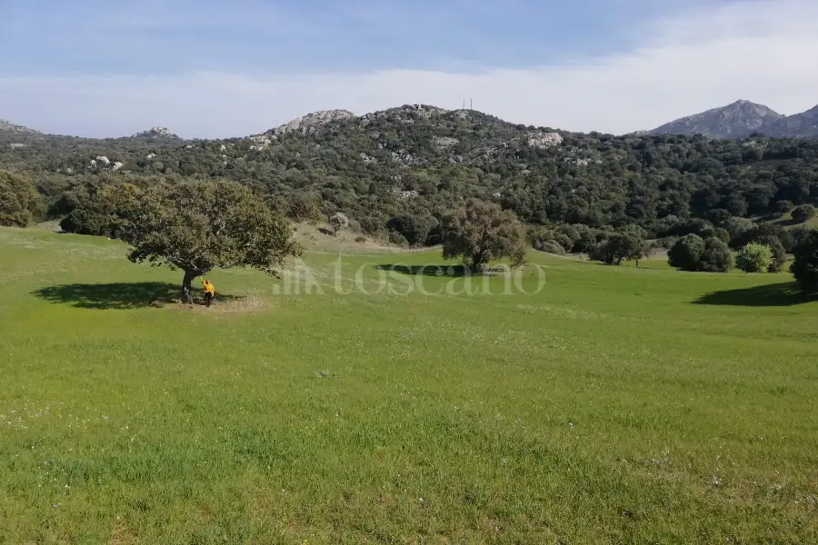 Agricolo in vendita di 194.010 mq a €250.000 (rif. 56/2024)