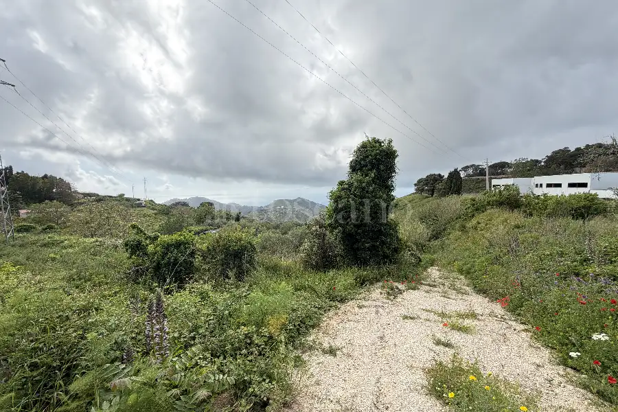 Agricolo in vendita di 16.504 mq a €88.000 (rif. 20/2026)