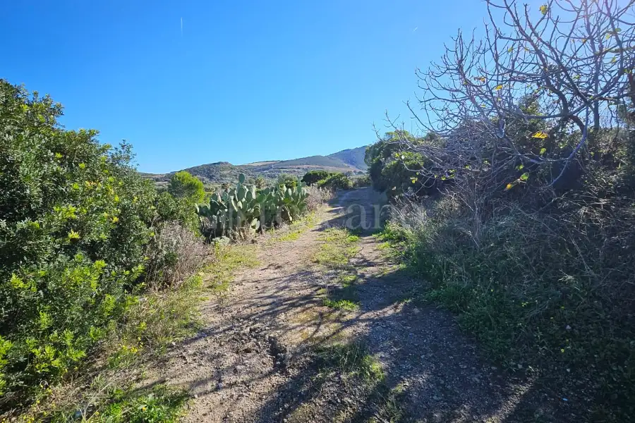 Agricolo in vendita di 5.000 mq a €45.000 (rif. 212/2025)