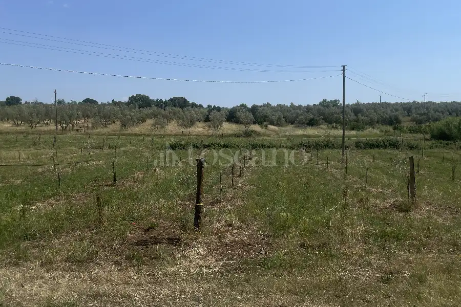 Agricolo in vendita di 60.000 mq a €170.000 (rif. 25/2026)