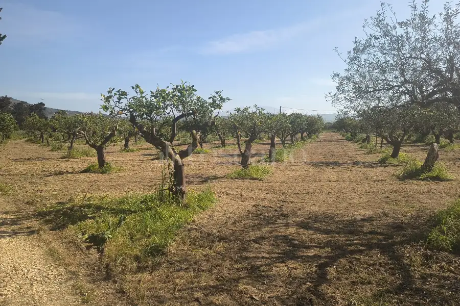 Agricolo in vendita di 14.880 mq a €108.000 (rif. 27/2026)