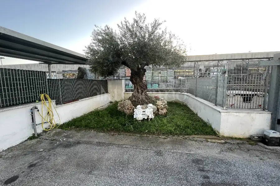 Capannone in vendita di 1.000 mq a €1.900.000 (rif. 15/2026)