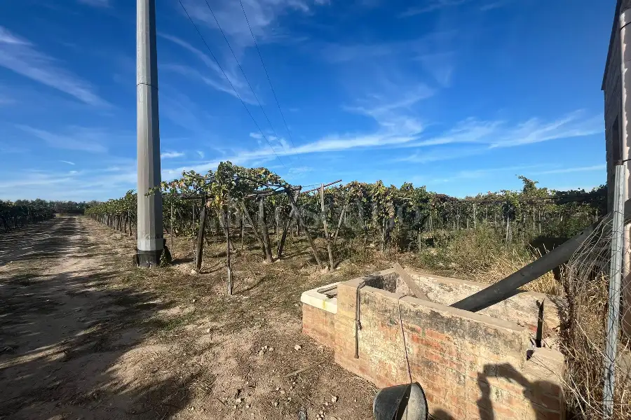 Agricolo in vendita di 7.000 mq a €69.000 (rif. 54/2025)