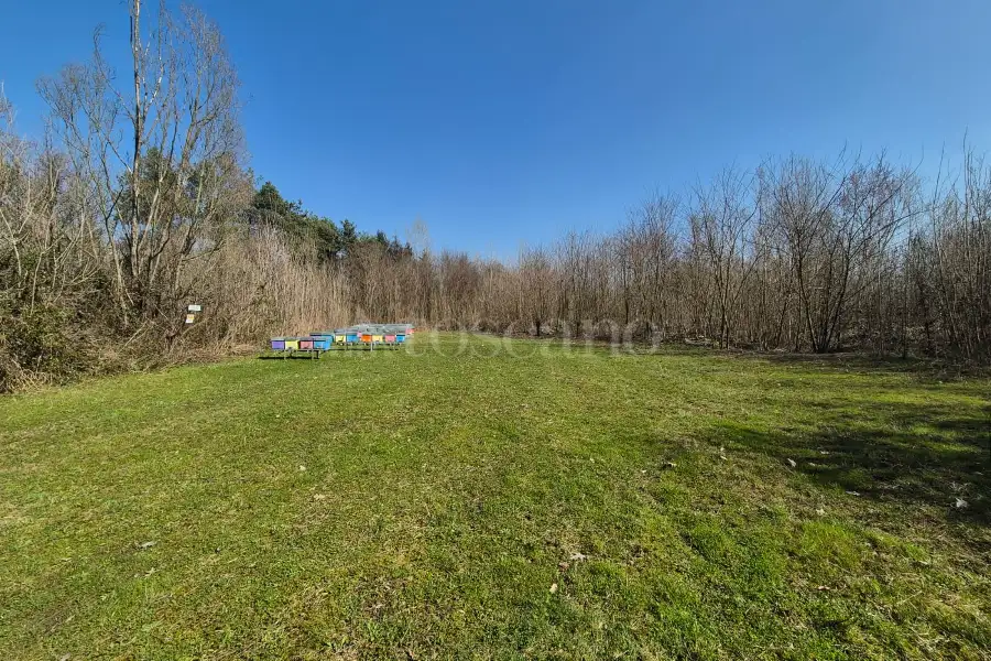 Agricolo in vendita di 80.000 mq a €445.000 (rif. 8/2025)