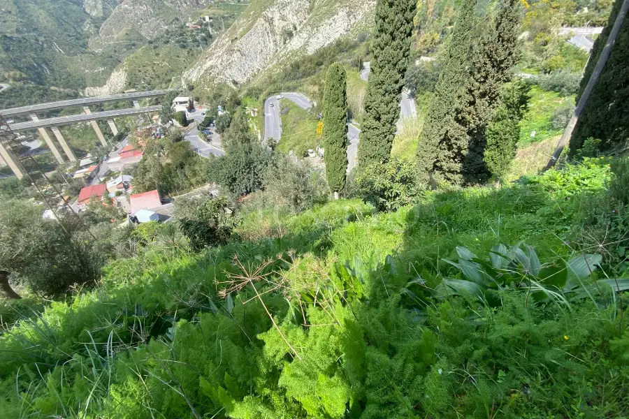Agriturismo in vendita di 600 mq a €1.750.000 (rif. 13/2026)