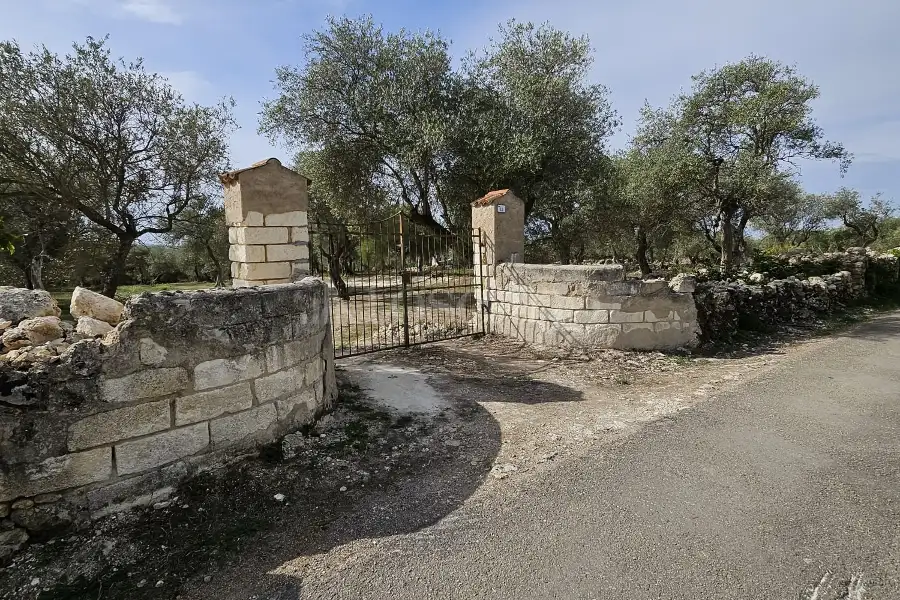 Edificabile Residenziali in vendita di 10.000 mq a €99.000 (rif. 176/2025)