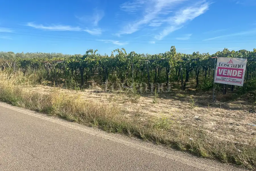 Agricolo in vendita di 7.000 mq a €69.000 (rif. 54/2025)