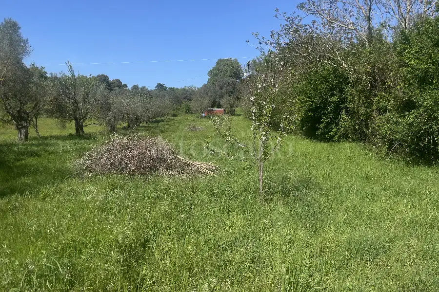 Agricolo in vendita di 3.360 mq a €12.000 (rif. 22/2026)