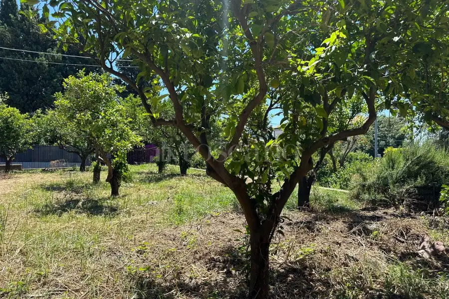 Villa in vendita di 575 mq a €878.000 (rif. 89/2025)