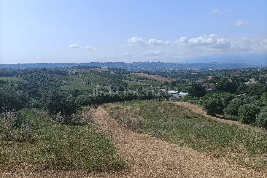Agricolo in vendita di 12.000 mq a €89.500 (rif. 31/2025)