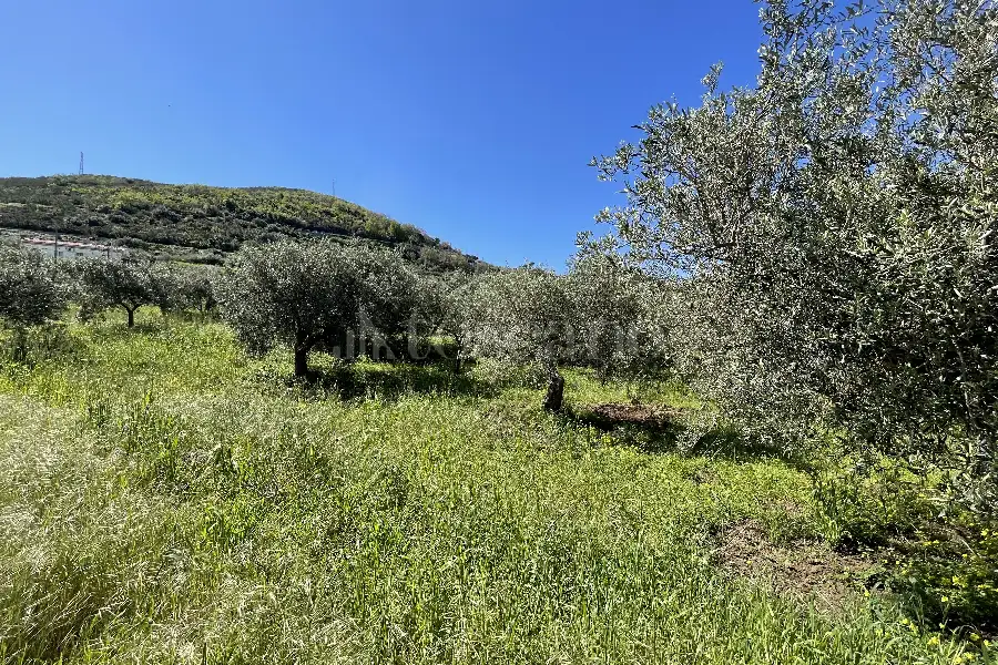 Rustico in vendita di 178 mq a €70.000 (rif. 14/2026)
