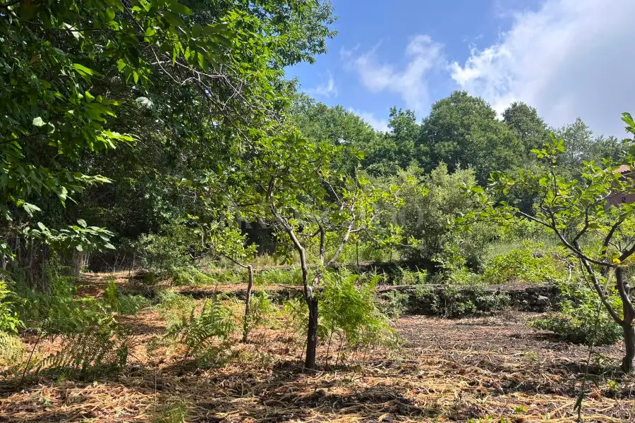 Casale in vendita di 46 mq a €120.000 (rif. 130/2026)