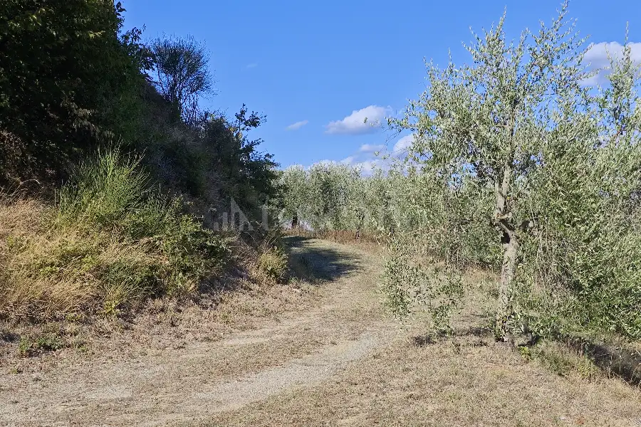 Agricolo in vendita di 20.000 mq a €80.000 (rif. 24/2026)