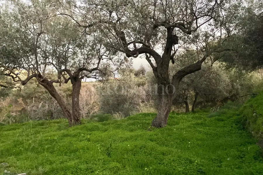 Casale in vendita di 60 mq a €68.000 (rif. 88/2024)