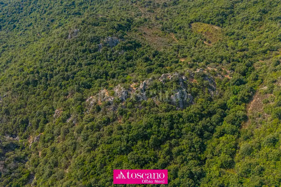 Agricolo in vendita di 176.937 mq a €170.000 (rif. 49/2026)