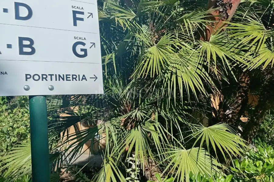 Ufficio in affitto di 55 mq a €650 (rif. 18/2026)