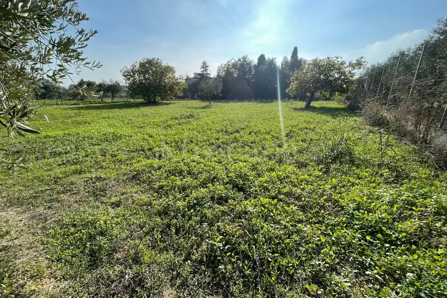 Agricolo in vendita di 1.288 mq a €37.000 (rif. 59/2025)