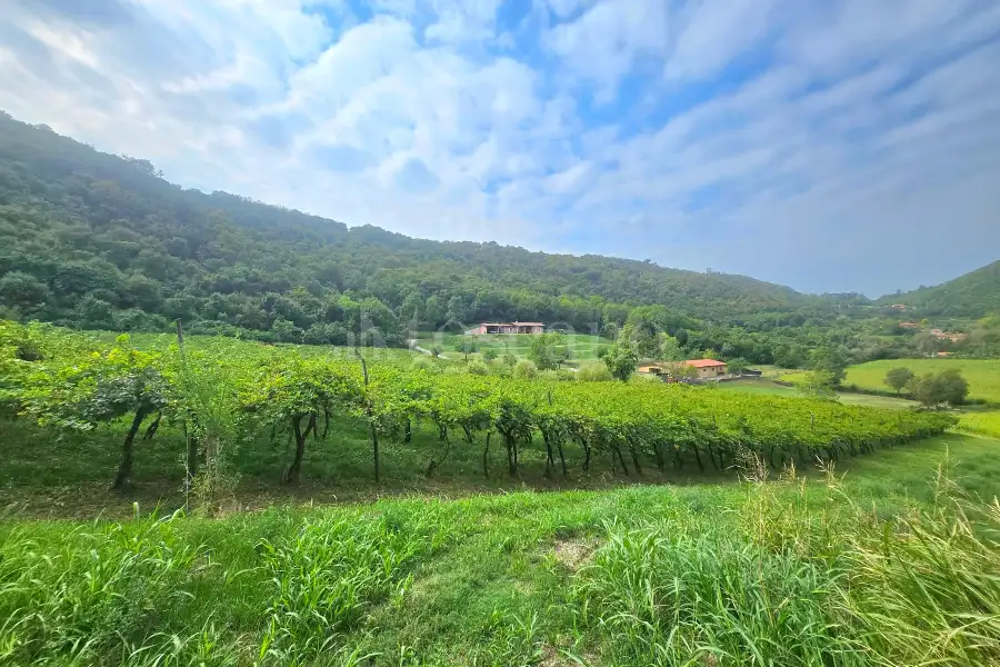 Agricolo in vendita di 15.000 mq a €210.000 (rif. 75/2026)