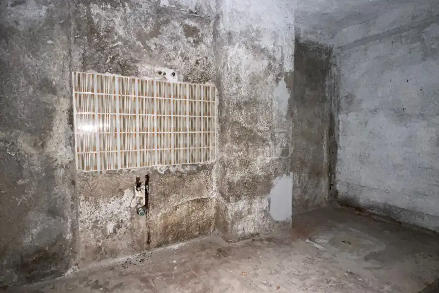 Cantina in vendita di 60 mq a €25.000 (rif. 217/2025)