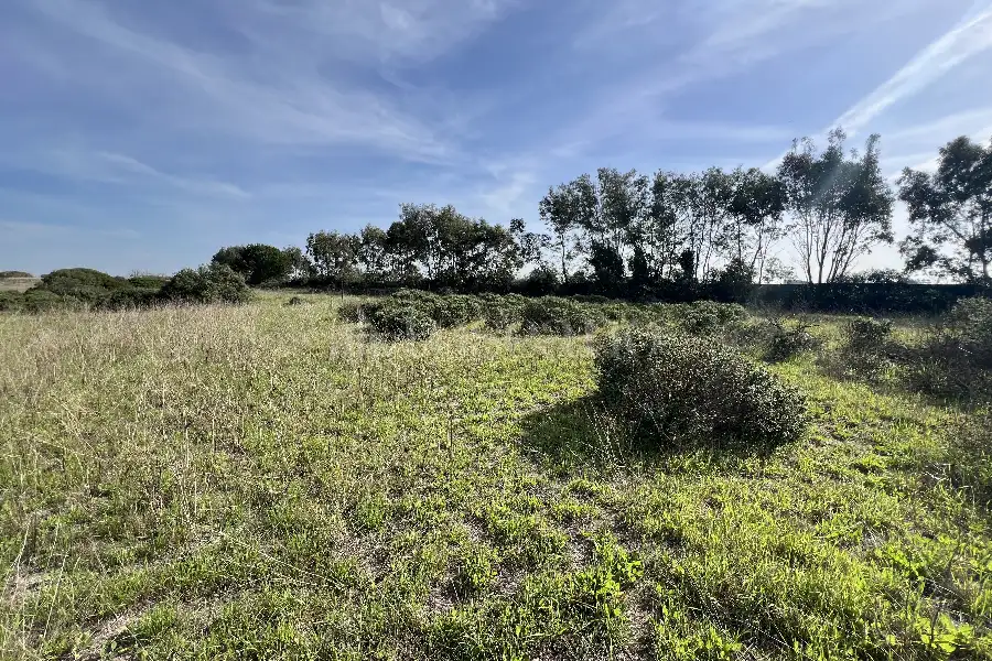 Edificabile Residenziali in vendita di 1.110 mq a €30.000 (rif. 85/2024)