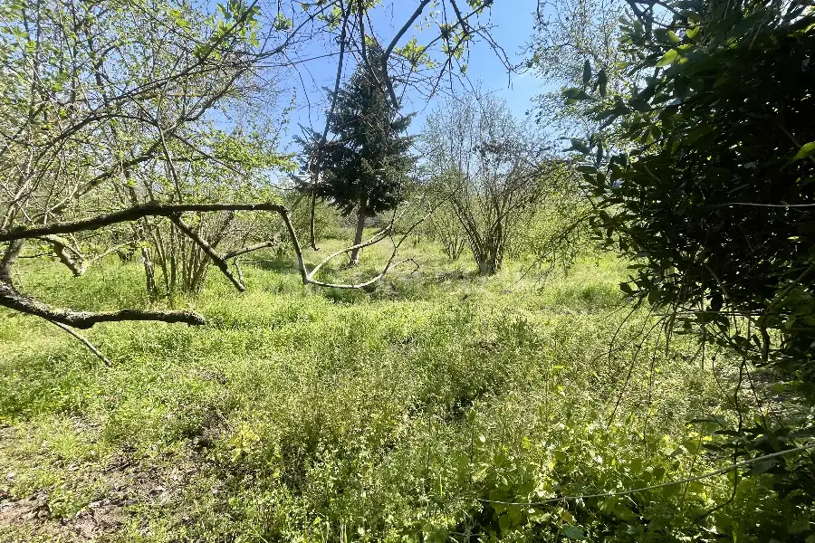 Villa in vendita di 200 mq a €520.000 (rif. 18/2026)
