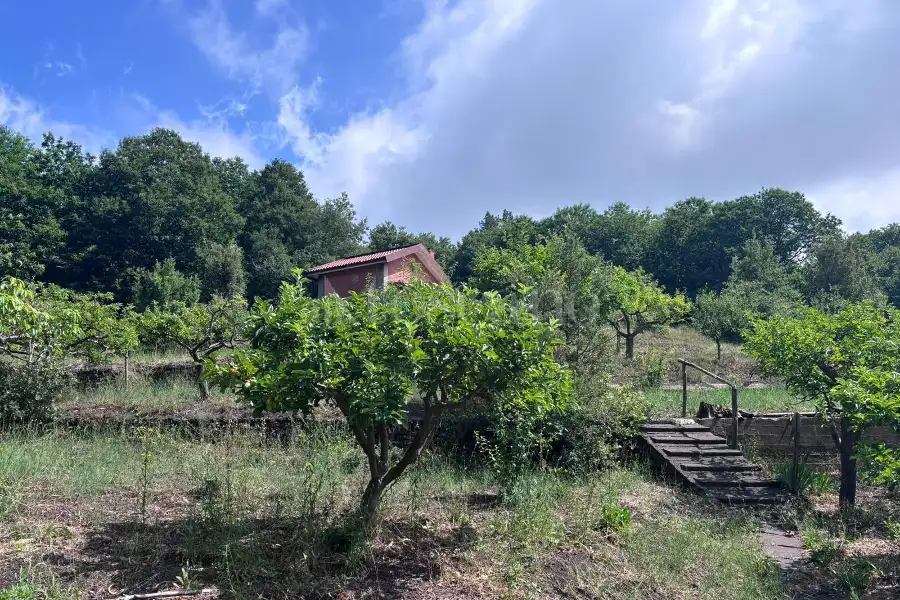 Casale in vendita di 46 mq a €120.000 (rif. 130/2026)