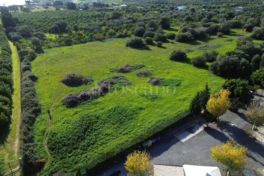 Edificabile Residenziali in vendita di 25.000 mq a €335.000 (rif. 137/2025)