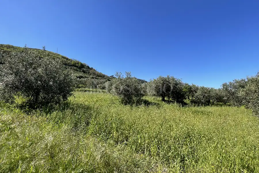 Rustico in vendita di 178 mq a €70.000 (rif. 14/2026)