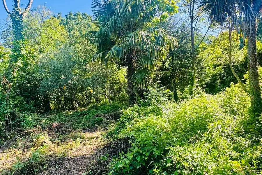 Casa Indipendente in vendita di 250 mq a €160.000 (rif. 146/2026)