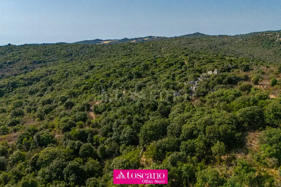 Agricolo in vendita di 176.937 mq a €170.000 (rif. 49/2026)