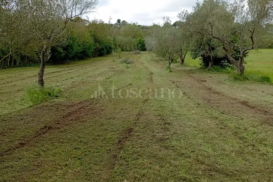 Agricolo in vendita di 3.360 mq a €12.000 (rif. 22/2026)