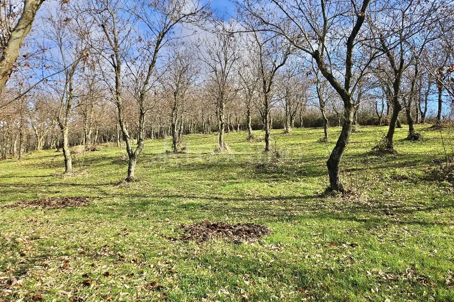 Agricolo in vendita di 4.600 mq a €18.000 (rif. 26/2026)