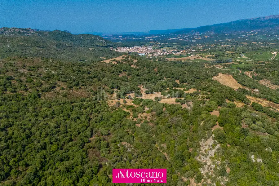 Agricolo in vendita di 176.937 mq a €170.000 (rif. 49/2026)