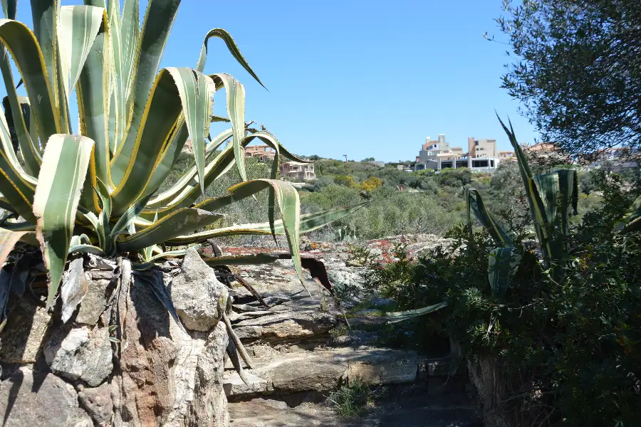 Villa in vendita di 125 mq a €1.750.000 (rif. 20/2023)