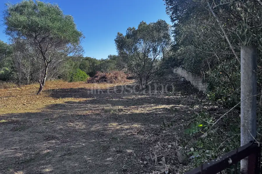 Edificabile Residenziali in vendita di 1.487 mq a €280.000 (rif. 46/2025)