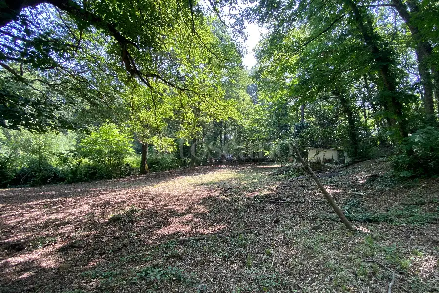 Agricolo in vendita di 5.000 mq a €19.000 (rif. 36/2025)