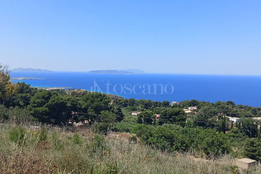 Agricolo in vendita di 37.700 mq a €225.000 (rif. 31/2026)