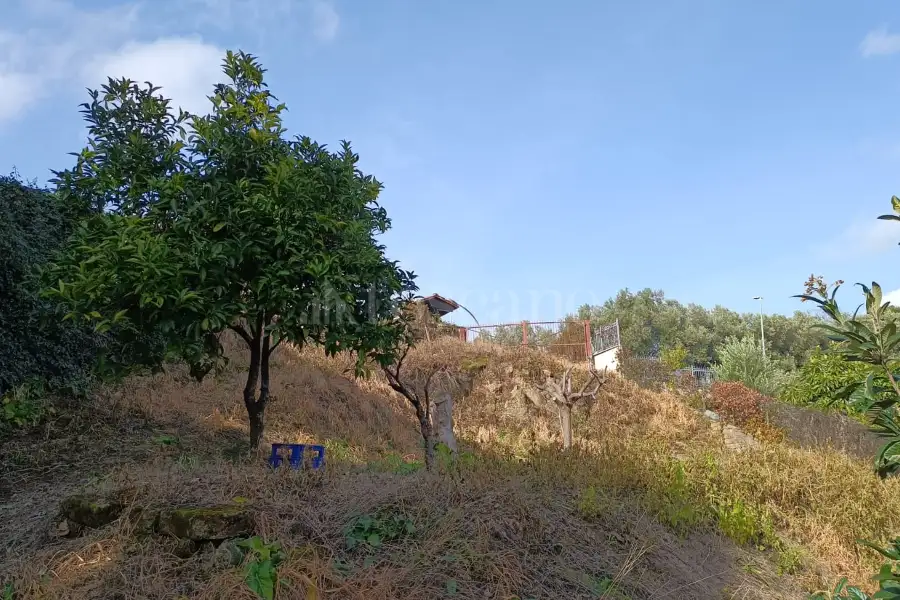Edificabile Residenziali in vendita di 594 mq a €99.000 (rif. 9/2025)