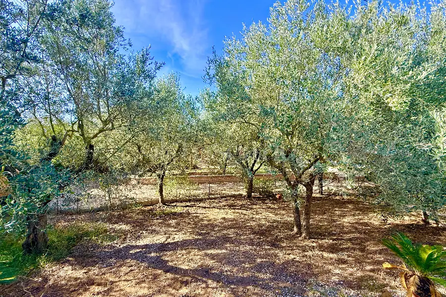 Villa in vendita di 220 mq a €429.000 (rif. 79/2026)
