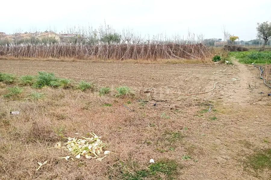 Agricolo in vendita di 2.400 mq a €55.000 (rif. 64/2025)