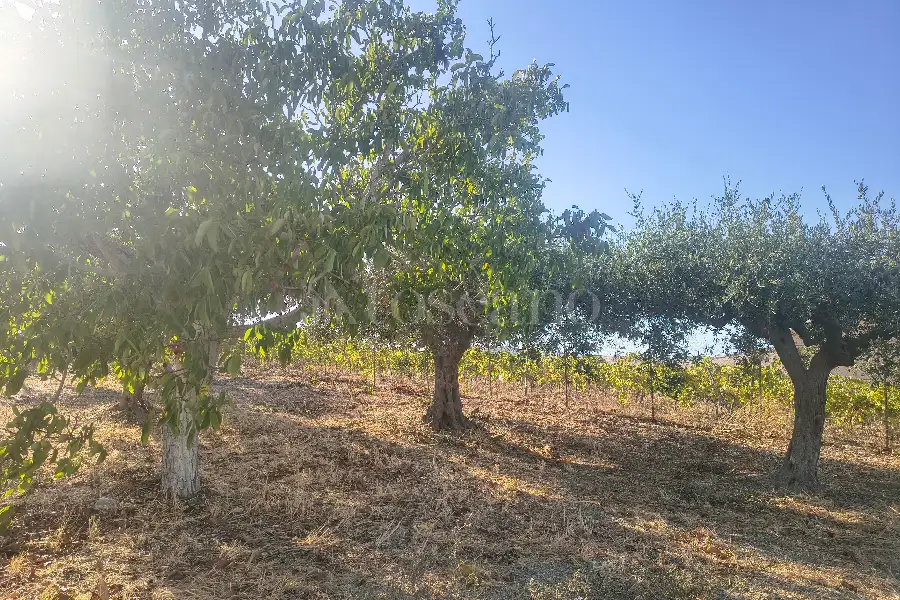 Casa Indipendente in vendita di 198 mq a €168.000 (rif. 47/2026)