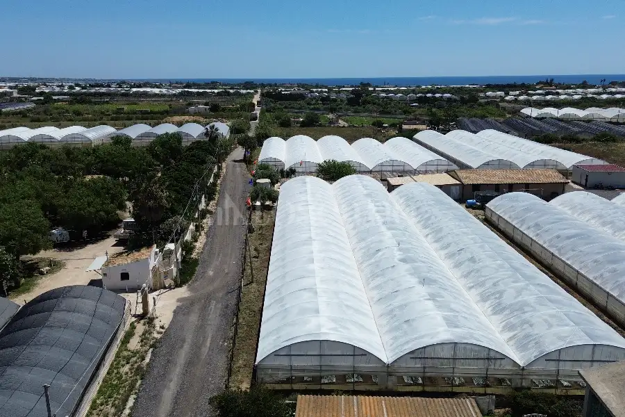 Edificabile Residenziali in vendita di 8.000 mq a €165.000 (rif. 63/2025)