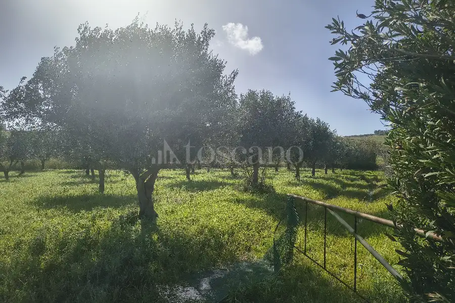 Agricolo in vendita di 55.538 mq a €128.000 (rif. 15/2026)