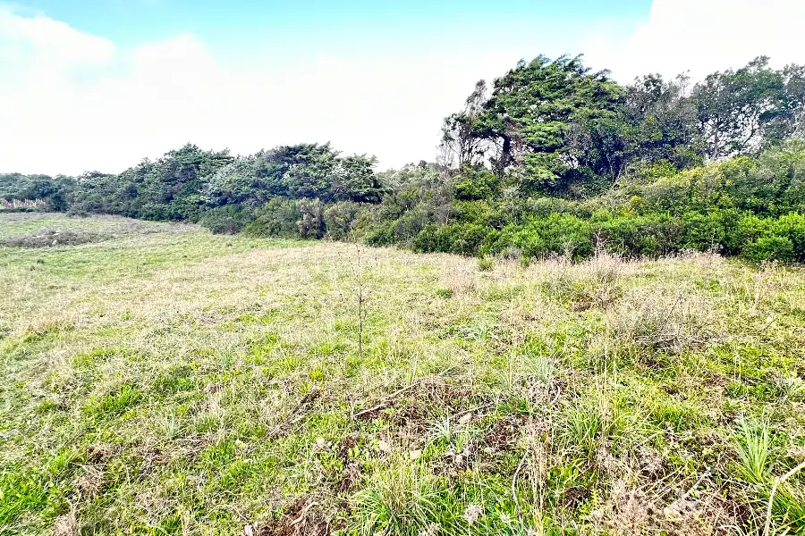 Agricolo in vendita di 247.451 mq a €250.000 (rif. 58/2024)