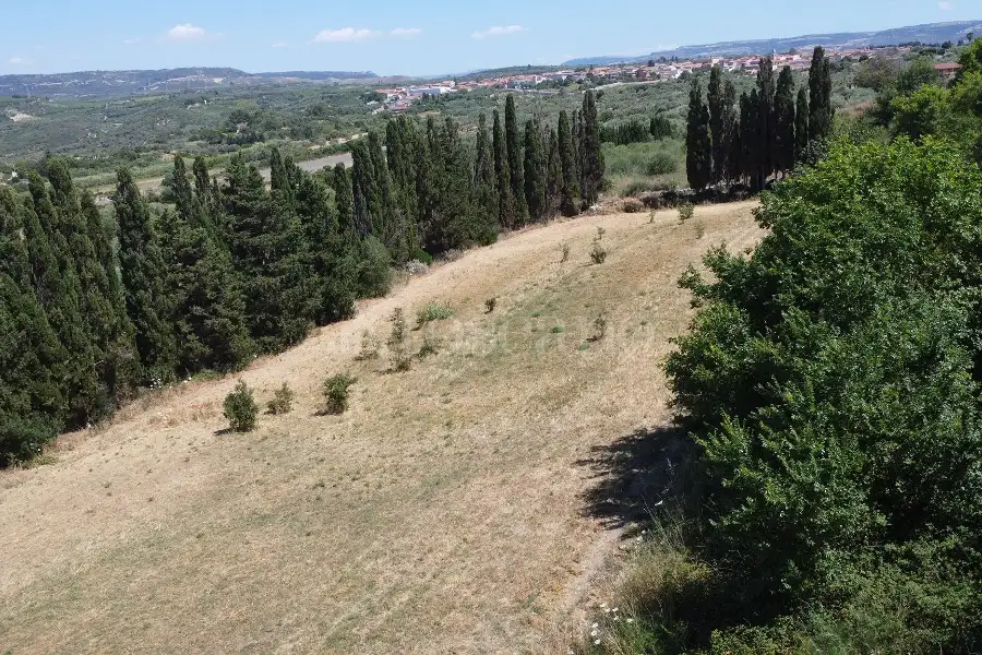 Edificabile Industriale in vendita di 9.000 mq a €50.000 (rif. 142/2026)